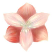 Flor de Amarilis